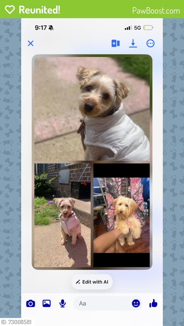 Reunited Female Dog last seen Pershing Ave and Pulaski ave, Carteret, NJ 07008