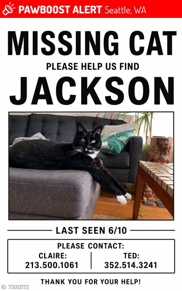 Lost Male Cat last seen Near 36th ave sw seattle, wa 98126, Seattle, WA 98126