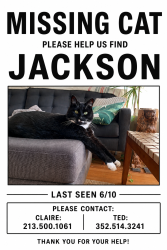 Lost Male Cat last seen Near 36th ave sw seattle, wa 98126, Seattle, WA 98126