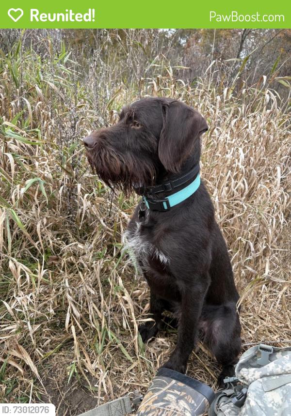 Reunited Male Dog last seen Whitaker and Lobdel rd, Whitaker Rd, MI 48451