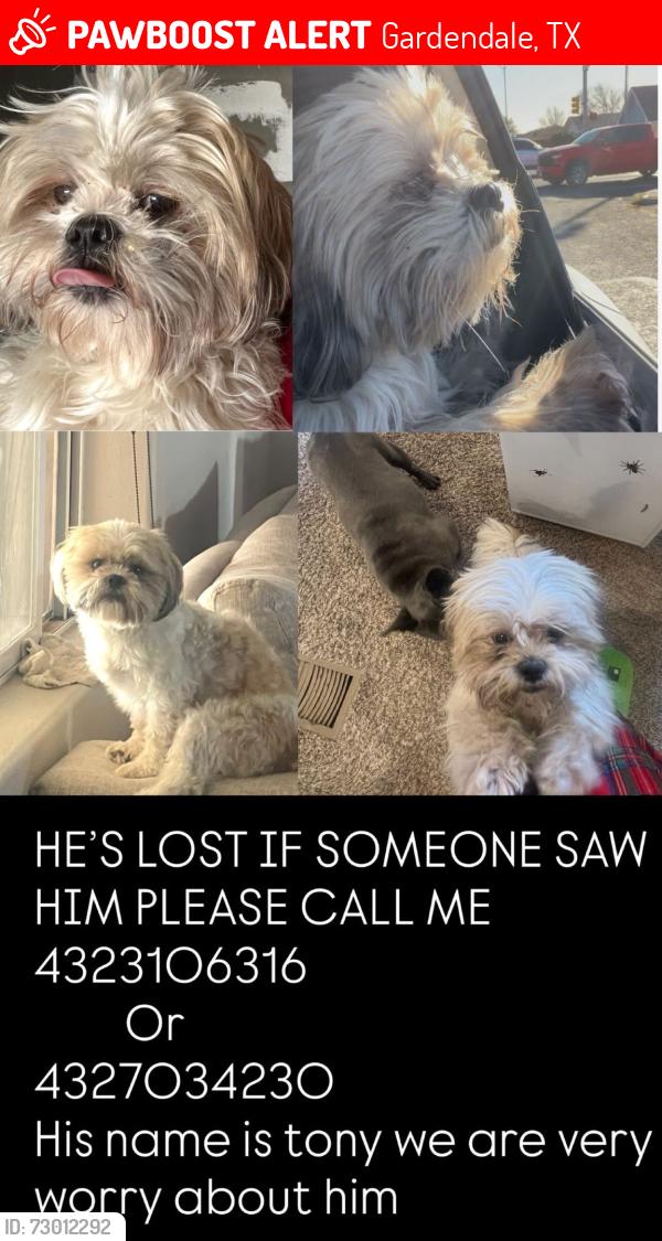 Lost Male Dog last seen Poppy Dr , Gardendale, TX 79758