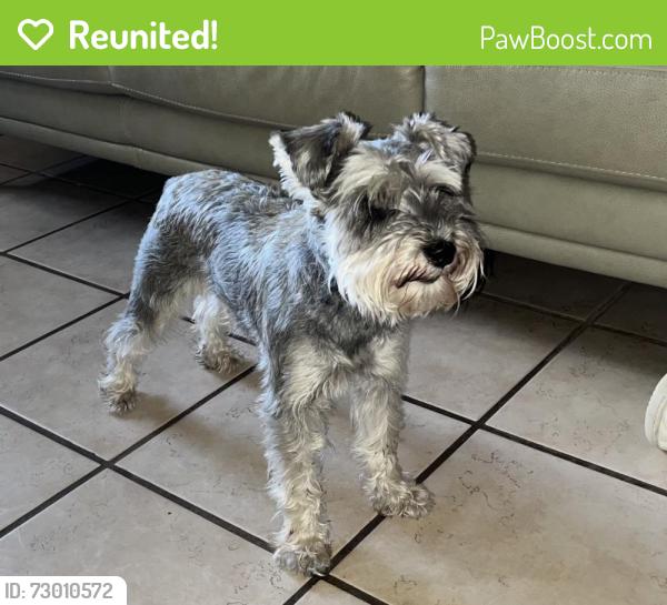 Reunited Female Dog last seen Near Ave West 36 St, Hialeah, FL 33012