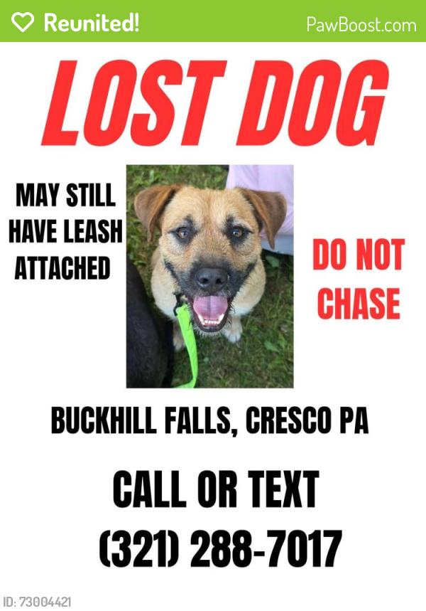 Reunited Male Dog last seen Near Lavender Lane, Canadensis, PA 18325