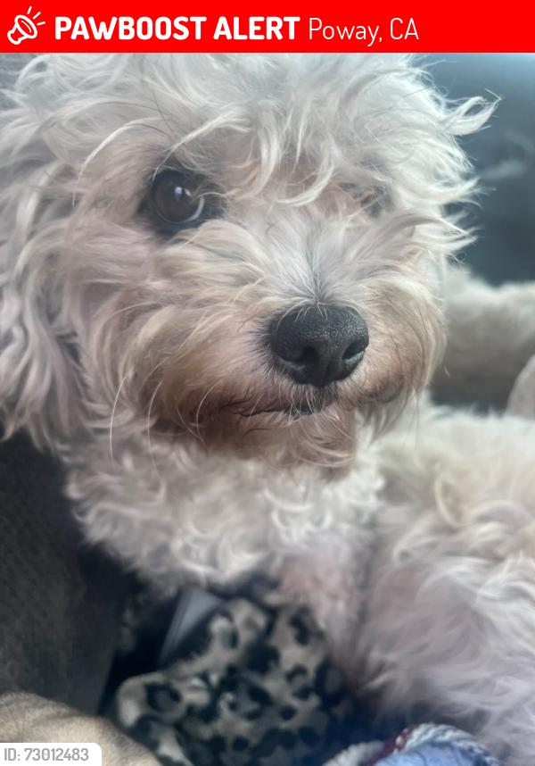 Lost Female Dog last seen Poway , Poway, CA 92064