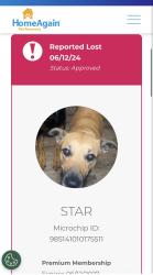 Reunited Female Dog last seen Se 29th and Eastern, Oklahoma City, OK 73129