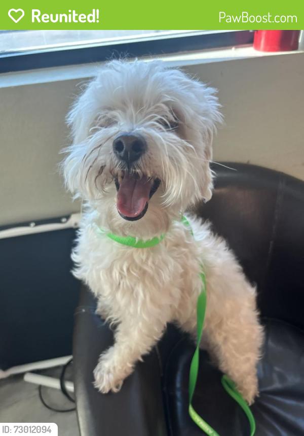 Reunited Male Dog last seen Hacienda and Fort Apache, Spring Valley, NV 89148