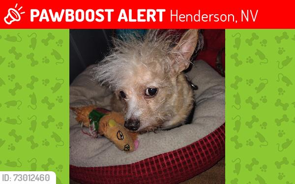 Lost Male Dog last seen Oregon and Victory, Henderson, NV 89015