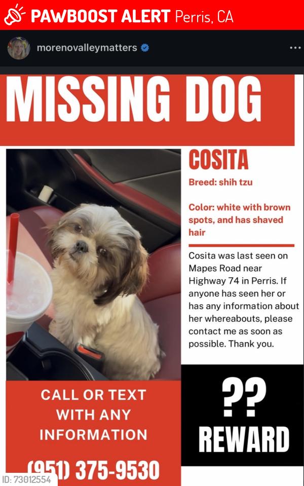 Lost Female Dog last seen Near Mapes Rd, Perris, CA 92570
