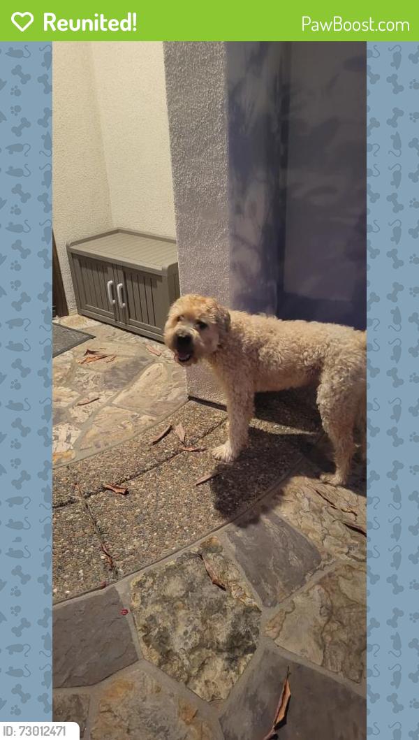 Reunited Unknown Dog last seen Cayenne Ridge road , San Diego, CA 92127