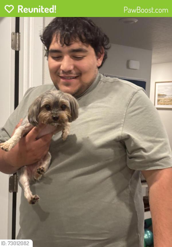 Reunited Male Dog last seen Columbia river elementary , Pasco, WA 99301
