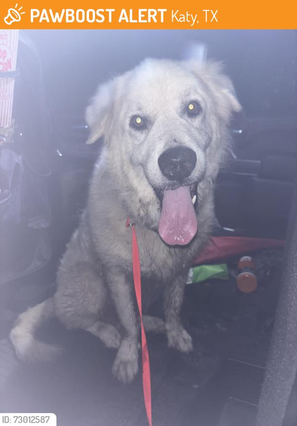 Found/Stray Unknown Dog last seen Spring Green/ Katy-Flewellen, Katy, TX 77494