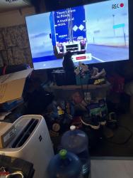 Reunited Male Cat last seen Auburn way north, Auburn, WA 98002