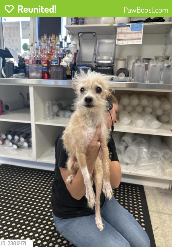 Reunited Male Dog last seen The Human Bean , Henderson, NV 89015