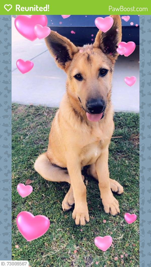 Reunited Male Dog last seen Hellman, Rancho Cucamonga, CA 91730