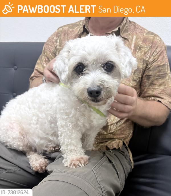 Found/Stray Female Dog last seen BusinessPark Avenue near Werfen building, San Diego, CA 92131