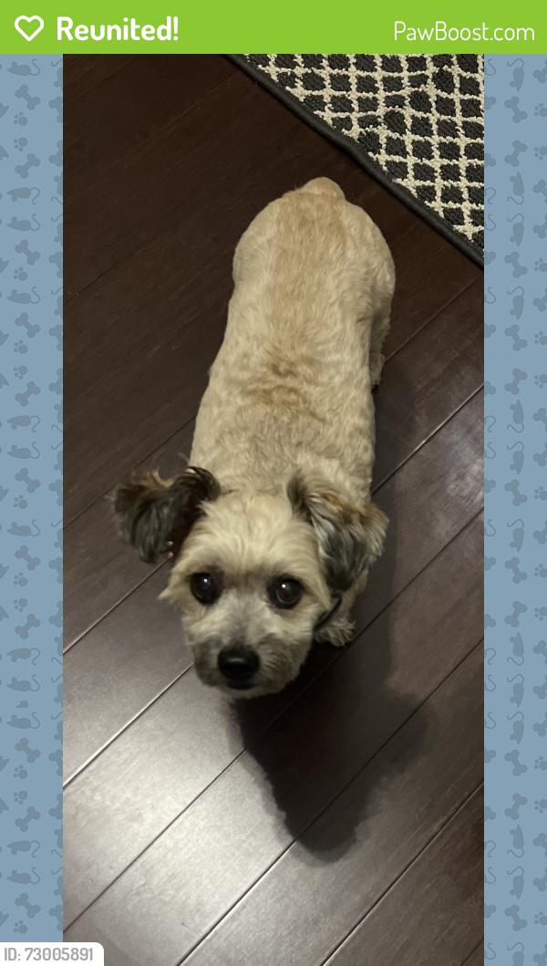 Reunited Male Dog last seen Drake St and Windsor Ave, Windsor, CT 06095