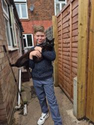 Reunited Male Cat last seen Birch Lane, West Midlands, England B68 0NZ