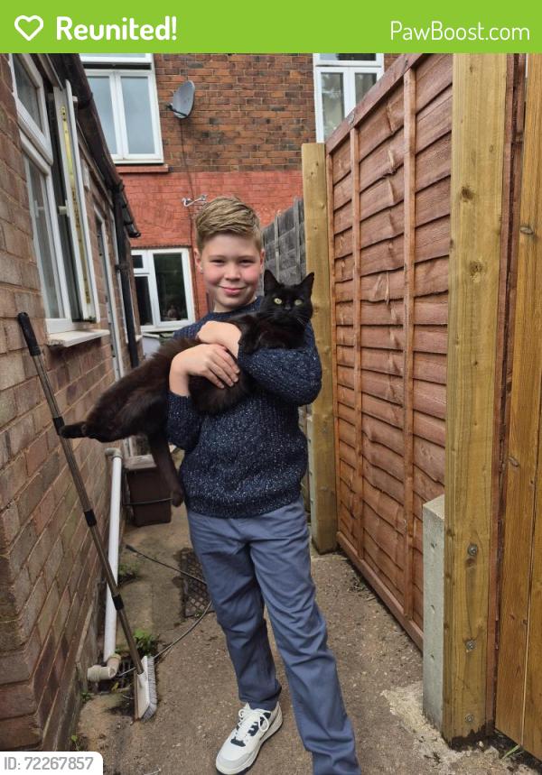 Reunited Male Cat last seen Birch Lane, West Midlands, England B68 0NZ