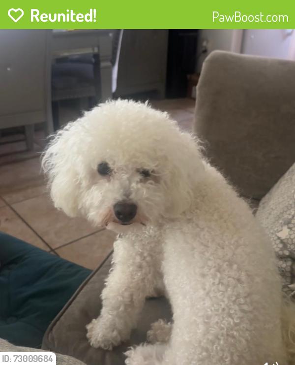 Reunited Female Dog last seen NW 21st St Cape Coral , Cape Coral, FL 33993