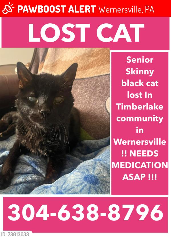 Lost Male Cat last seen Near Lengle Ave , Wernersville, PA 19565