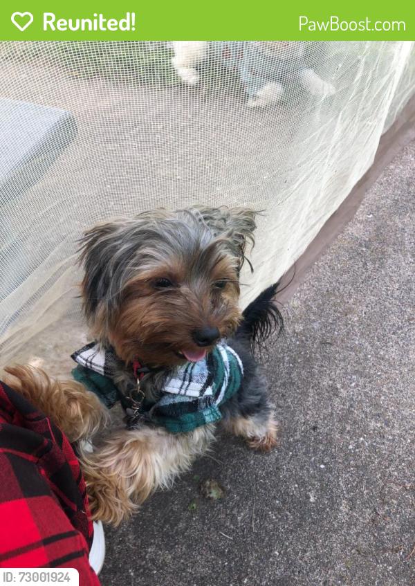 Reunited Male Dog last seen Wilson, and Earl, Saint Paul, MN 55106