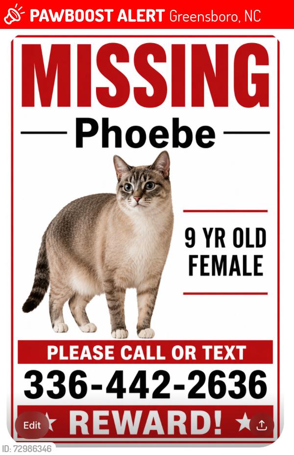 Lost Female Cat last seen North Lake and Seven Gates, Greensboro, NC 27410