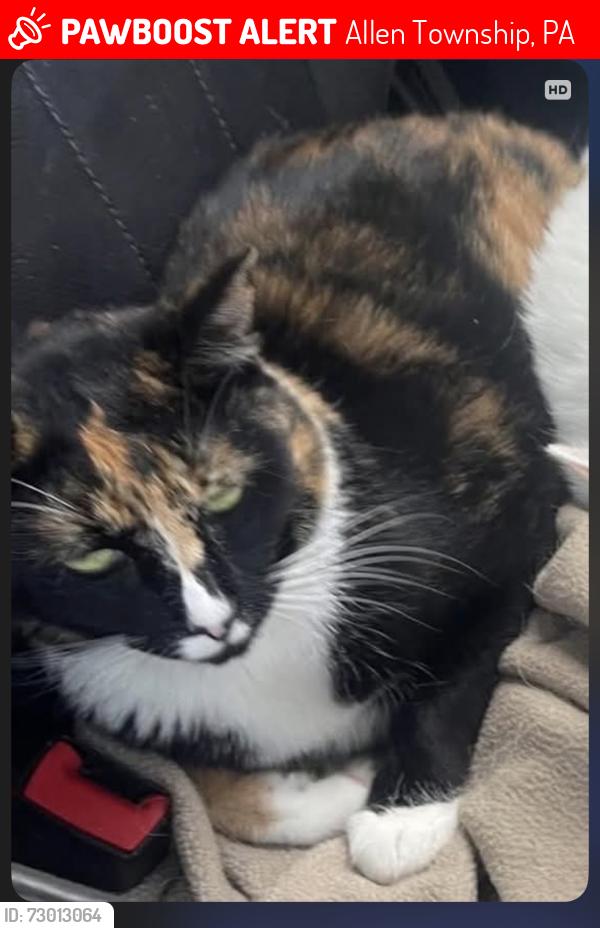 Lost Female Cat last seen Dog Park , Trail, Could be in developments close by . Please check around your hse if you live around here , thanks , Allen Township, PA 18067