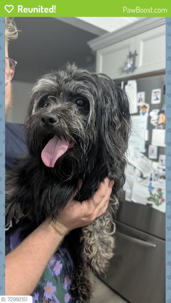 Reunited Male Dog last seen Plymouth Ave and Stanford Ave, Schenectady, NY 12308