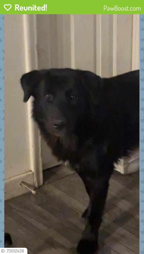 Reunited Female Dog last seen Popular grove, Salt Lake City, UT 84104