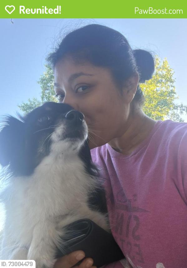Reunited Female Dog last seen Stark, Portland, OR 97236