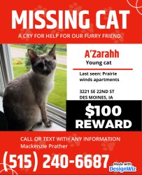 Reunited Female Cat last seen Park Ave & SE 22ND ST, Des Moines, IA 50320