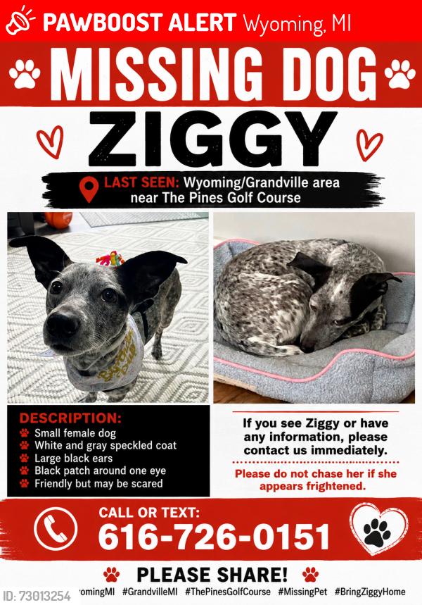 Lost Female Dog last seen Byron center road, Wyoming, MI 49519