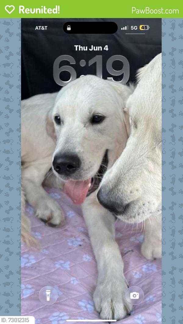 Reunited Male Dog last seen Riverland Rd, Fort Lauderdale, FL 33312, USA, Fort Lauderdale, FL 33312