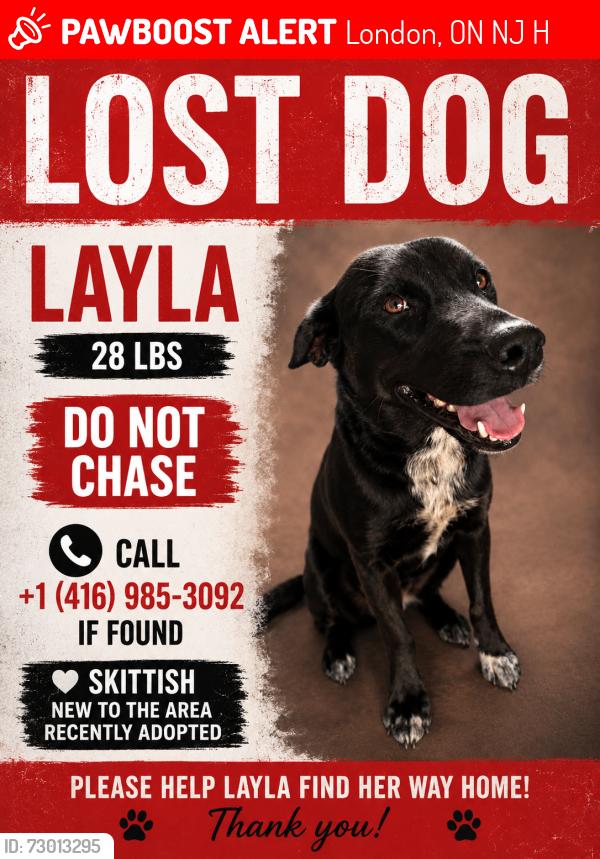 Lost Female Dog last seen Near ridgewood crescent , London, ON N6J 3H2
