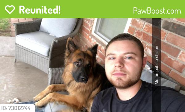 Reunited Male Dog last seen Independence blvd , Virginia Beach, VA 23455