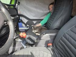 Lost Female Cat last seen S. Barker, Spokane Valley, WA 99016