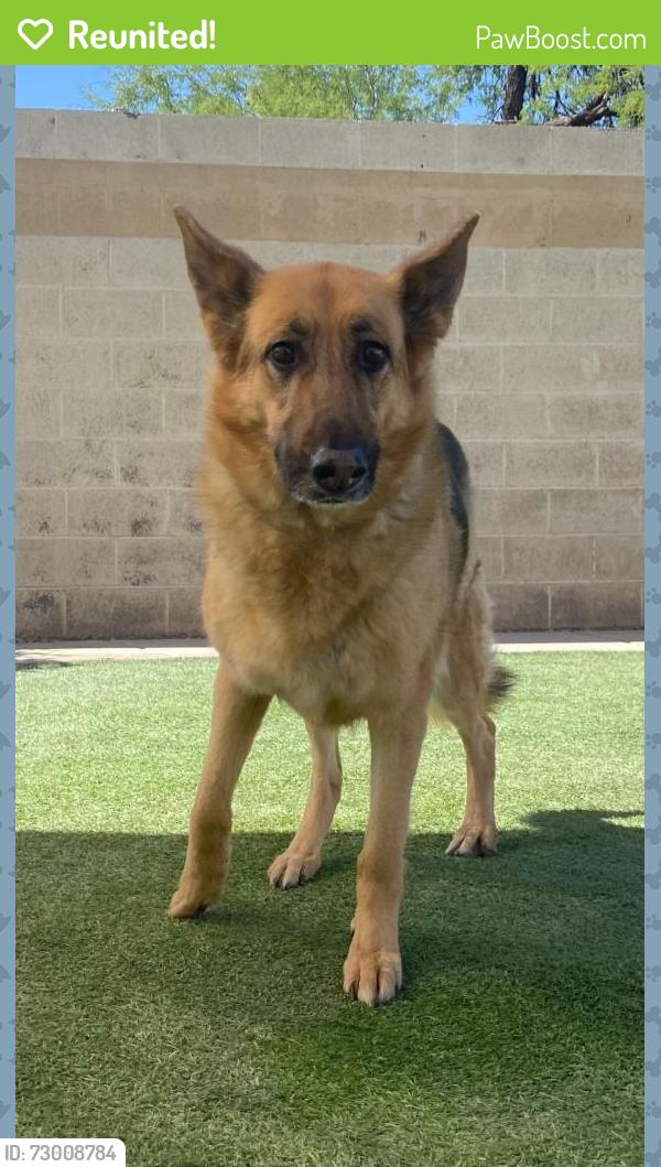 Reunited Female Dog last seen 82nd and Broadway , Reynolds Acres, AZ 85208
