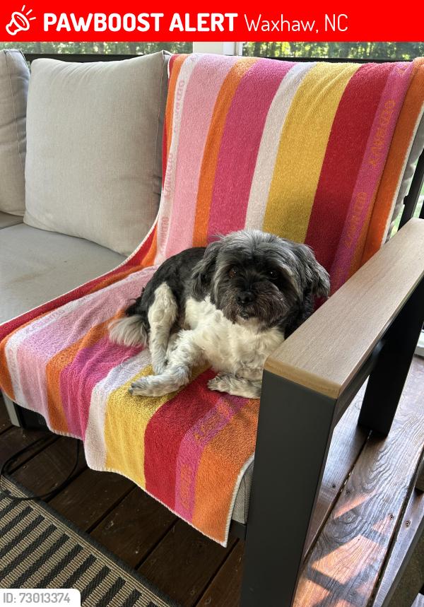 Lost Male Dog last seen Providence Road South, Waxhaw, NC 28173