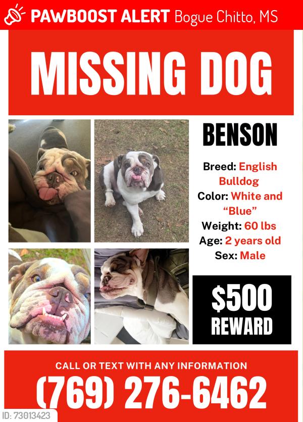 Lost Male Dog last seen Johnston Grove Church, Bogue Chitto, MS 39629