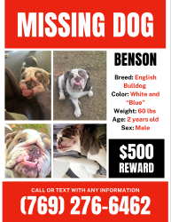 Lost Male Dog last seen Johnston Grove Church, Bogue Chitto, MS 39629