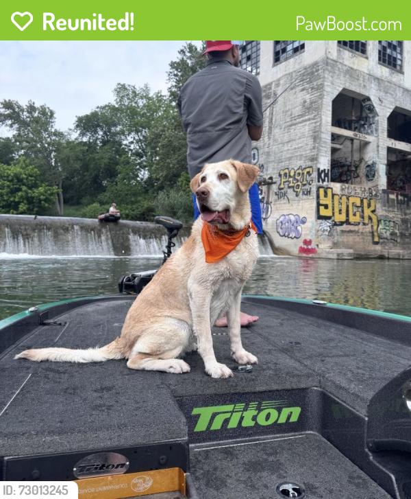 Reunited Female Dog last seen Carolyn Cove, New Braunfels, TX 78130
