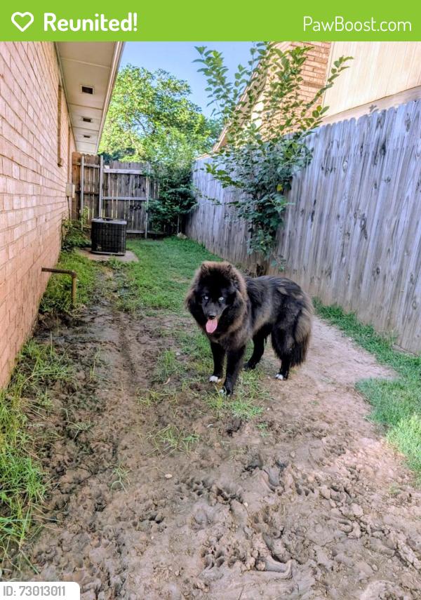 Reunited Female Dog last seen Santa Fe and 15th, Oklahoma City, OK 73173