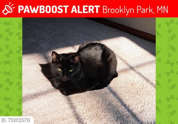 Lost Female Cat last seen Tracking dog caught some scents at the nearby River Park, Brooklyn Park, MN 55444