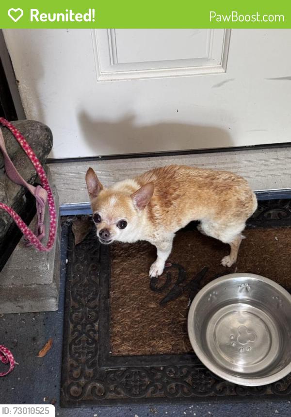 Reunited Unknown Dog last seen Mission Bend, TX, USA, Mission Bend, TX 77083
