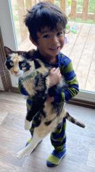 Lost Female Cat last seen  Rodgers ln, Wichita County, TX 76305