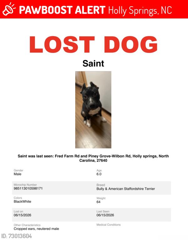 Lost Male Dog last seen Fred Farm Rd and Piney Grove Wilbon Rd, Holly Springs, NC 27540