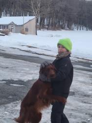 Lost Female Dog last seen whiteoak rd / mt pleasant rd , Paradise, PA 17562