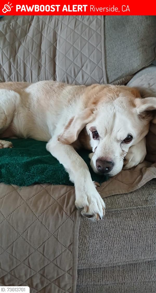 Lost Male Other last seen Well Ave and Ivanhoe Ave, Riverside, CA 92503