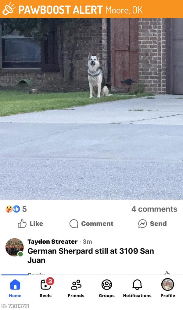 Found/Stray Unknown Dog last seen 34th and Eastern , Moore, OK 73160