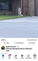 Found/Stray Unknown Dog last seen 34th and Eastern , Moore, OK 73160